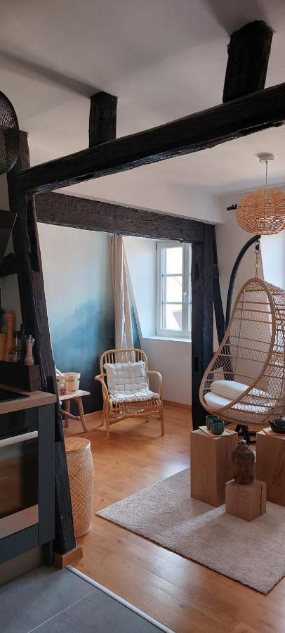 Appartement Le Verdoyant avec parking Colmar Buitenkant foto